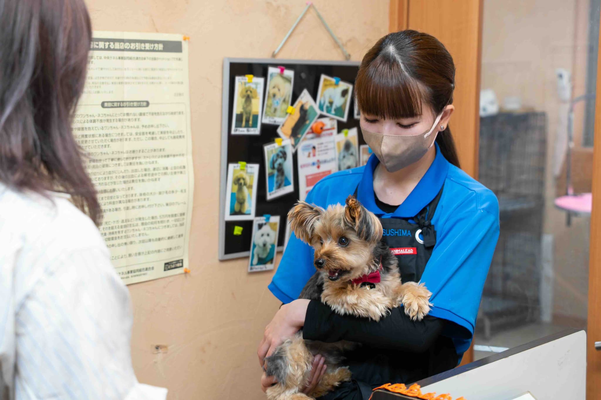 “大切な家族に、やさしさと安心を” ──「ペットサロンSIT」